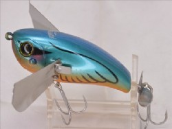 Kawashima kawasemi