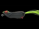 Chart head frog