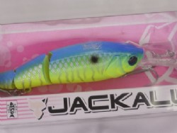Blue back tiger