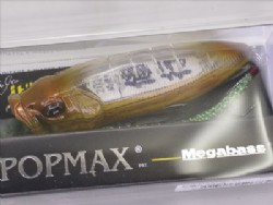 2024 Chouun-X (Fortune) limited model #A