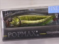 FA bass (Fine Art Finish)