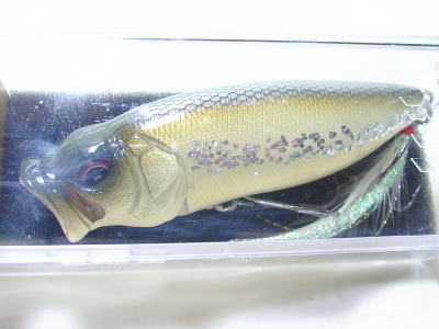 Glitter shad