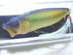Mat honmoroko