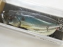 M Threadfin shad