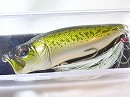 PM Bass