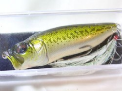 Pm bass