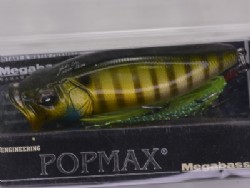 PM Wild gill