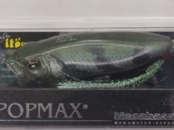 Polypterus (2023 Limited Color)