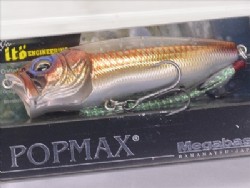 2023 Chouun-X (Fortune) limited model (See through medetai)
