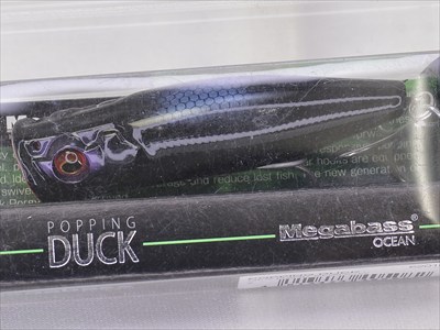 MEGABASS / POPPING DUCK | IchibanTackle.com