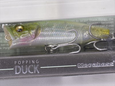 MEGABASS / POPPING DUCK | IchibanTackle.com
