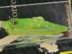 Crystal lime frog