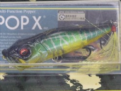 NC shotgun hot tiger (Limited color) -Package damaged