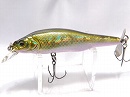 GG Moss back golden shad