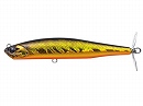 Golden shiner (#211)