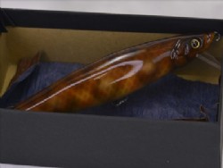 Anaconda