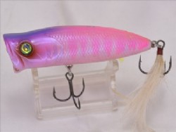 Pink scale