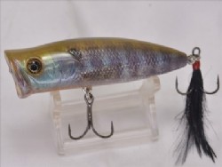 R blue gill