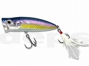 American shad (#75)