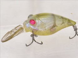 Red eye glass shrimp
