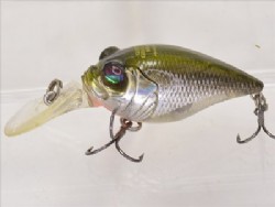 ST shad