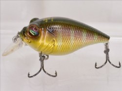 PM gill