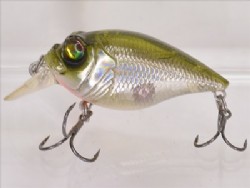 ST shad