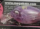 NC Amethyst (Limited color)