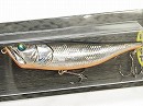 Diamond shad (#23)