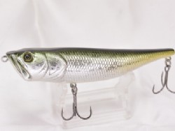 Yellow tail shad