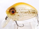 Yellow bass