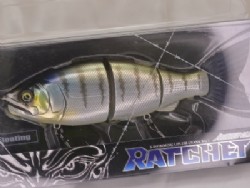 Wild perch (#07)