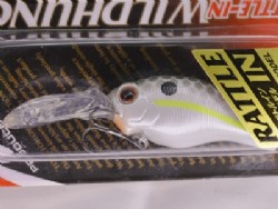 Queen shad (#289)