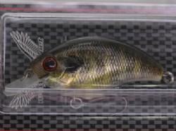 Real gill Ver.2