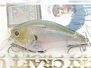 MJ Ghost minnow