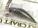 White shad
