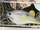 Sexy chartreuse shad