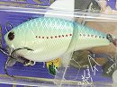Blue bream