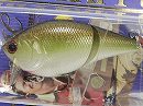 Copper green shad