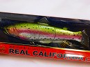 Rainbow trout