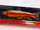 Red line trout