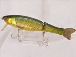 Golden carp (Suspending)