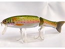 Rainbow trout