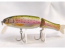 Rainbow trout