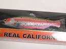 Steelhead