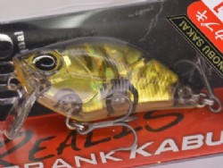 Gold plate tiger