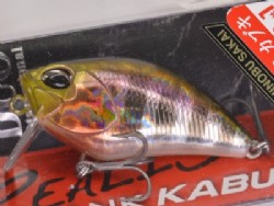 Prism gill