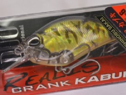 Gold plate tiger
