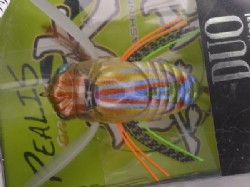 Peacock spider (Mesmer Eyes)