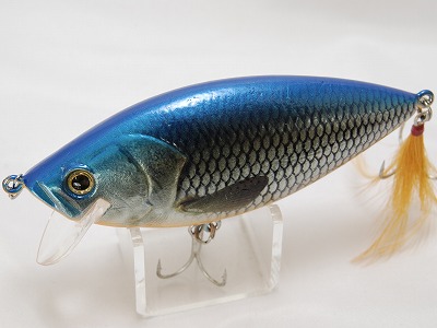 Blue back shad